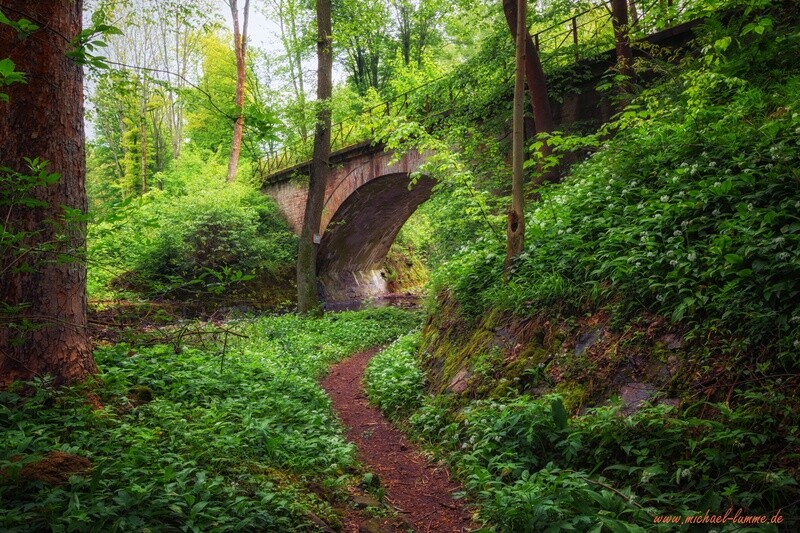 Der Grenzwanderweg im Eckertal