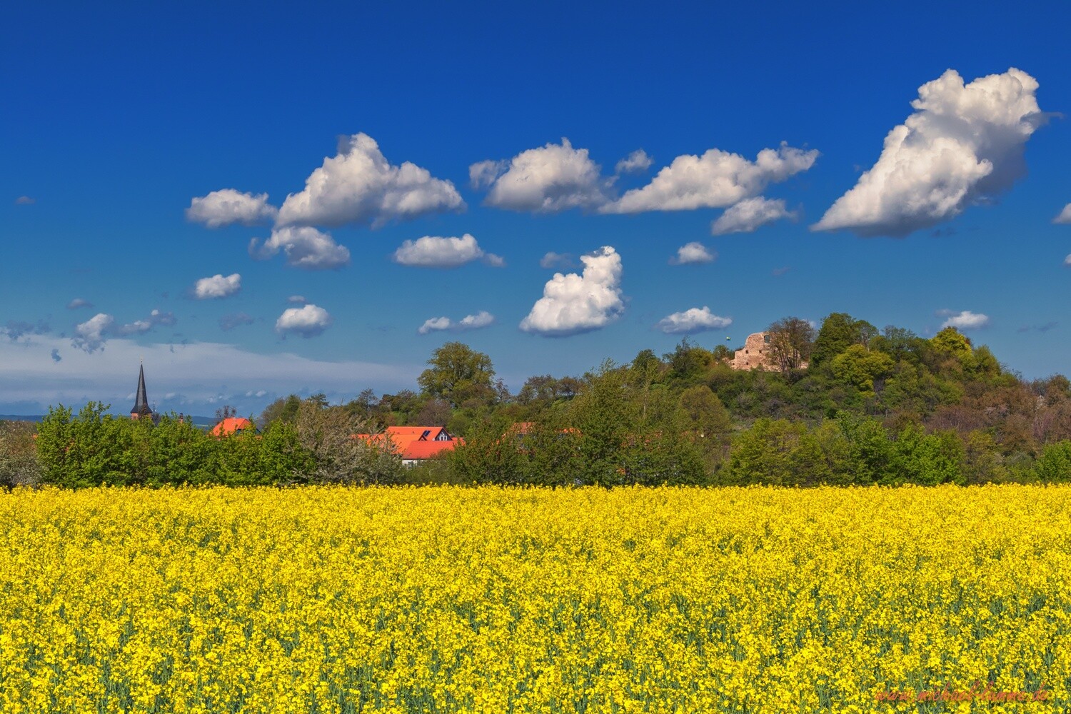 Der Burgberg Stapelburg