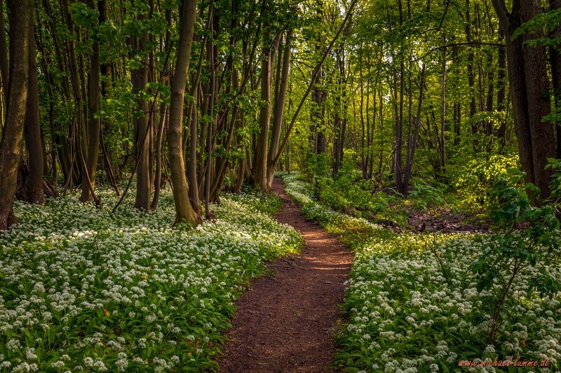 Der Grenzwanderweg im Eckertal