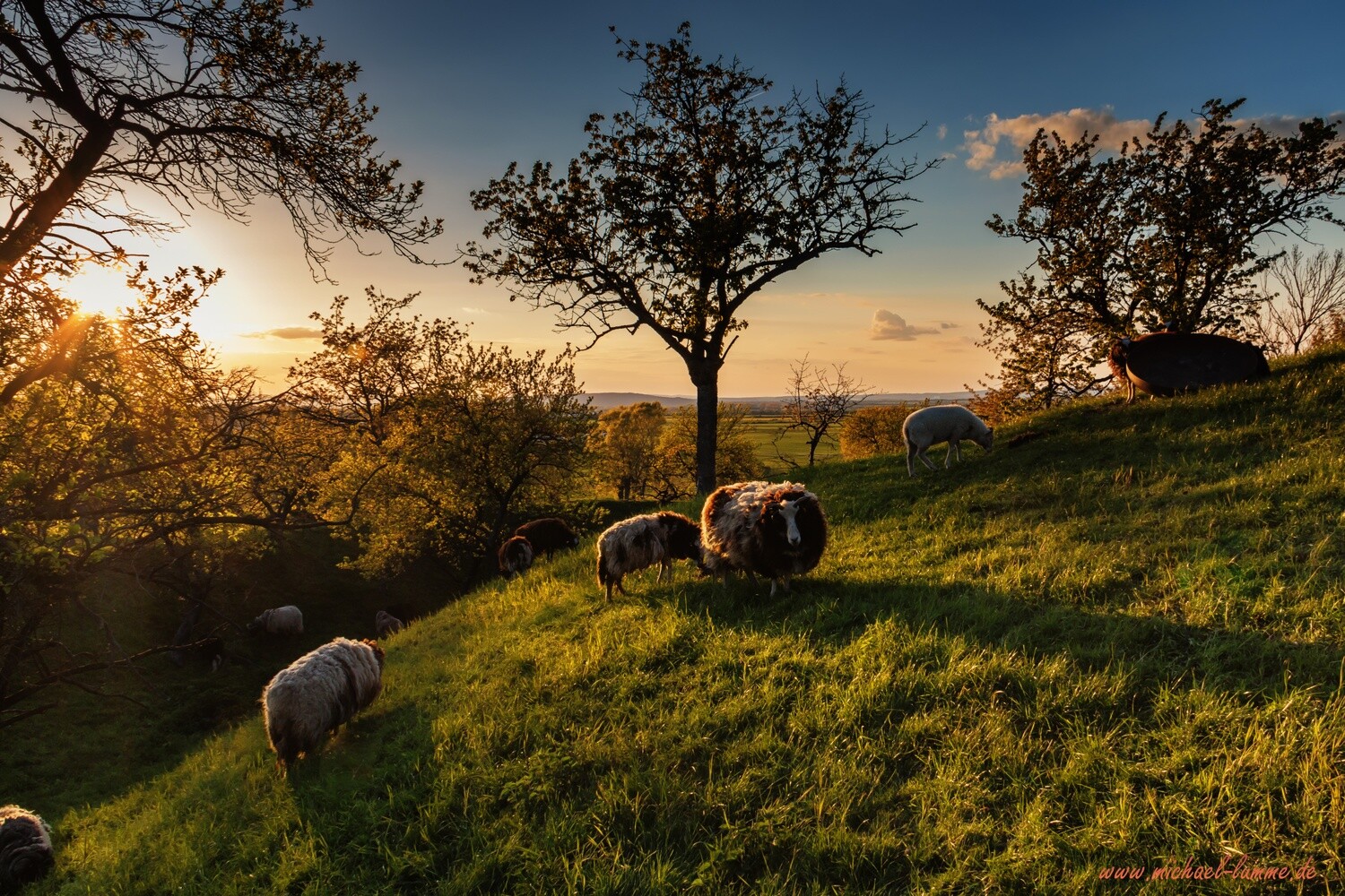 Der Burgberg Stapelburg
