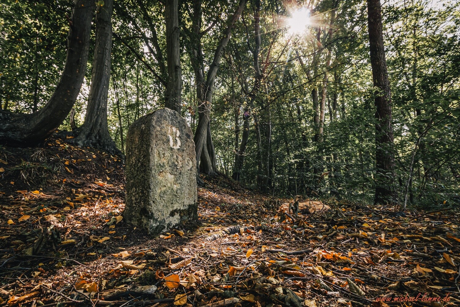 Der Grenzwanderweg im Eckertal
