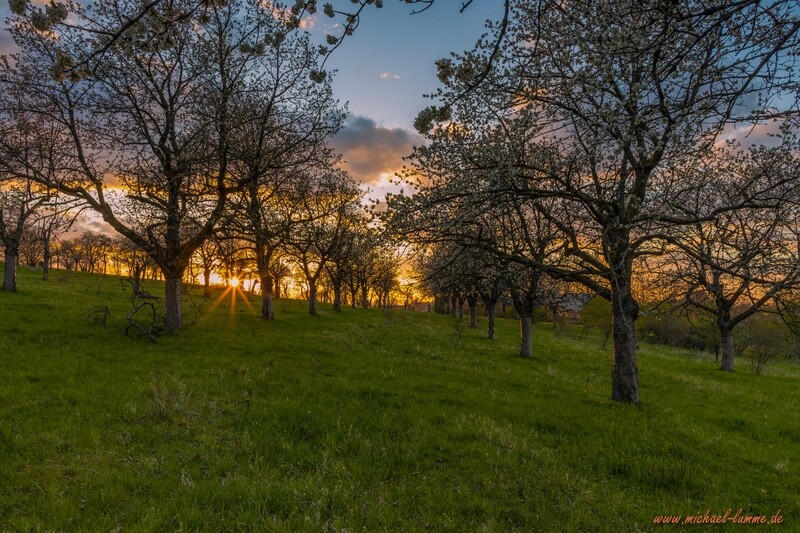 Der Burgberg Stapelburg