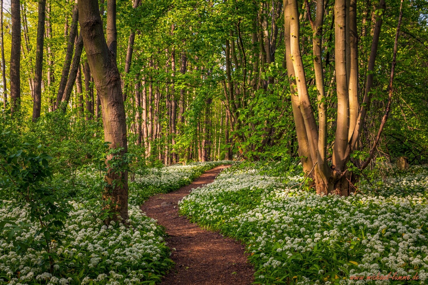 Der Grenzwanderweg im Eckertal