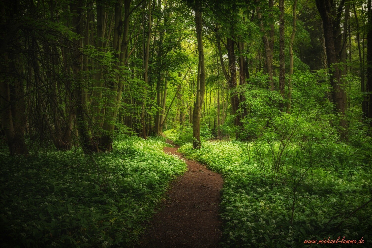 Der Grenzwanderweg im Eckertal