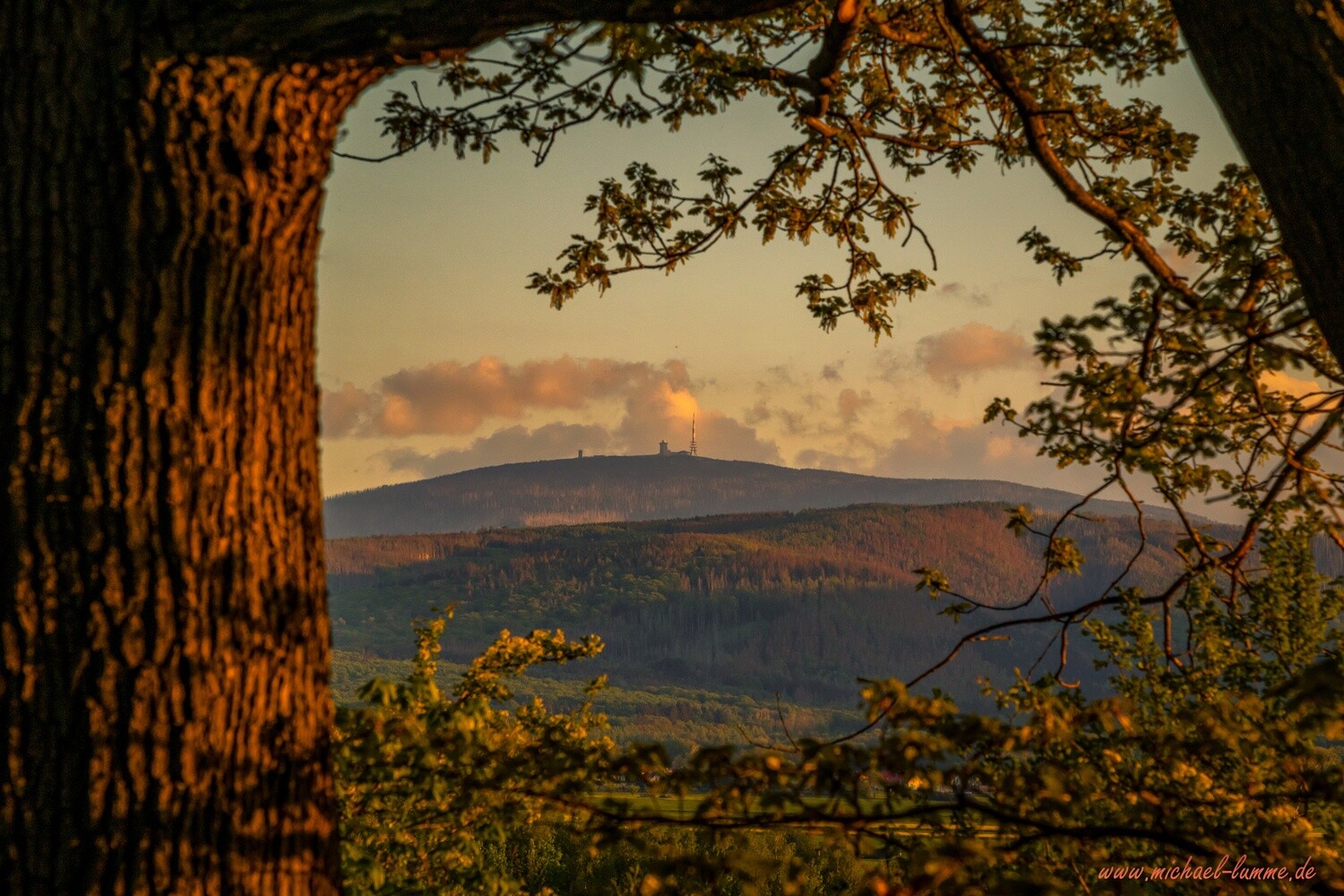 Im Schauner Wald bei Stapelburg