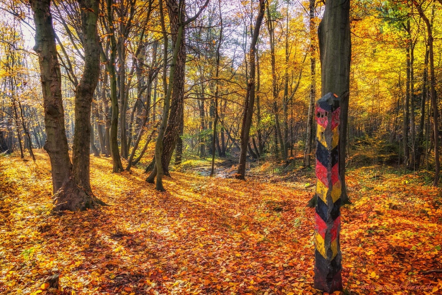 Der Grenzwanderweg im Eckertal