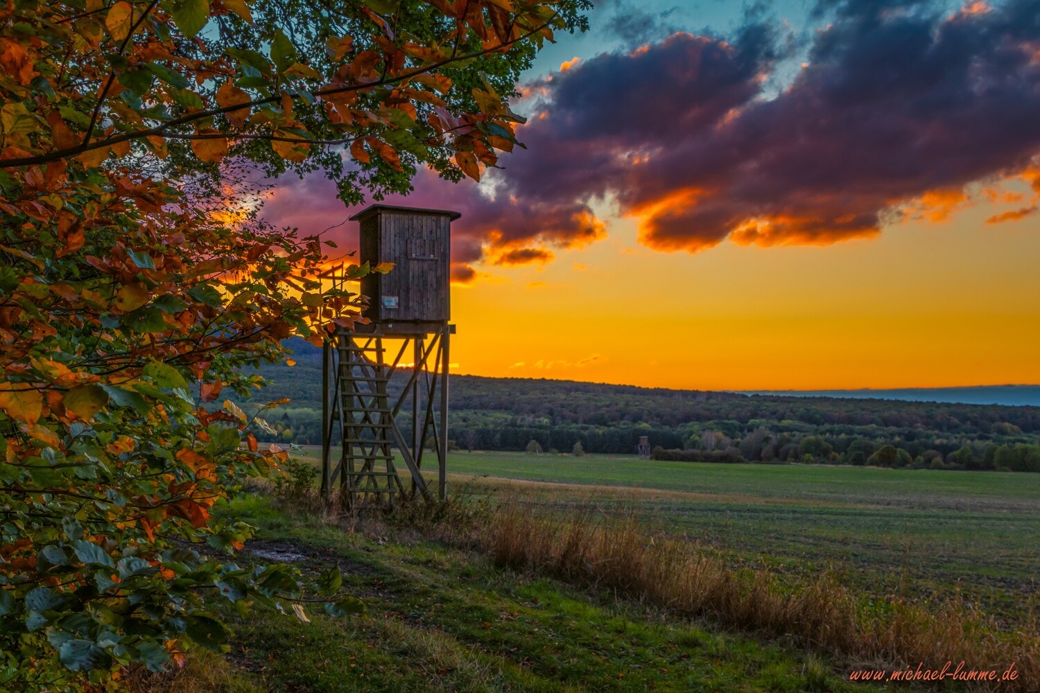 Das Ilsenburger Holz bei Stapelburg