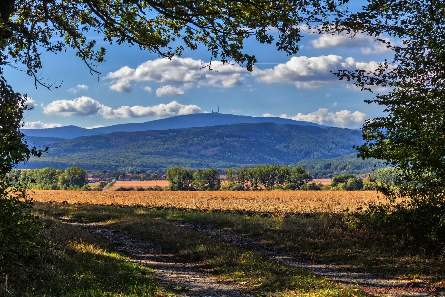Im Schauner Wald bei Stapelburg
