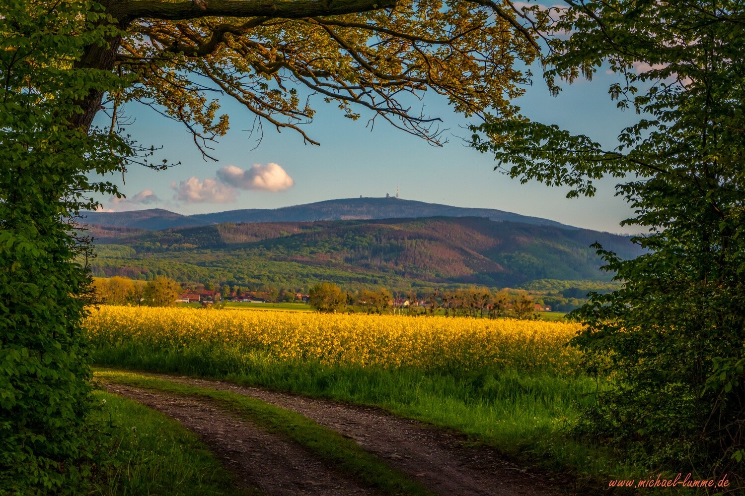 Im Schauner Wald bei Stapelburg