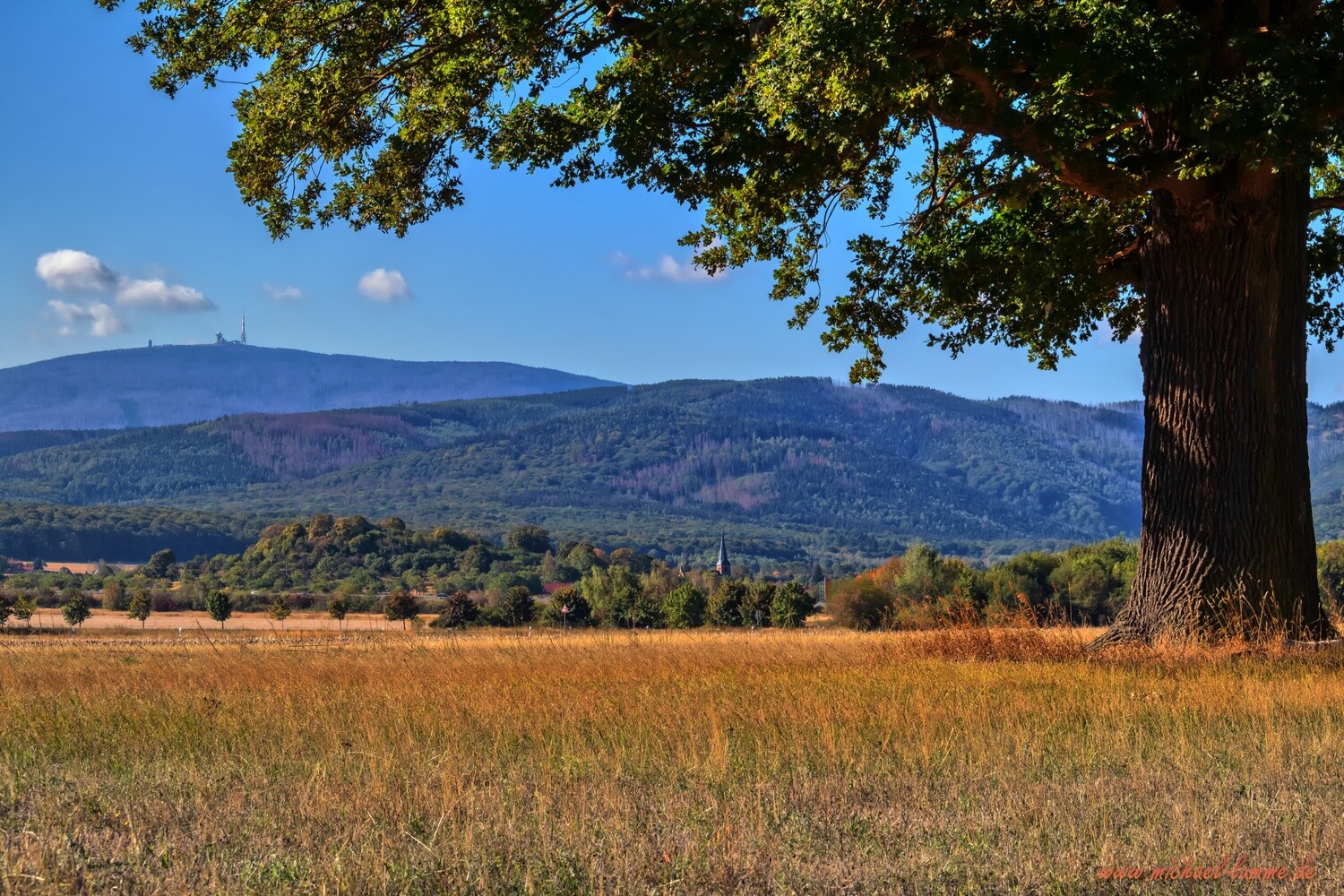 Im Schauner Wald bei Stapelburg