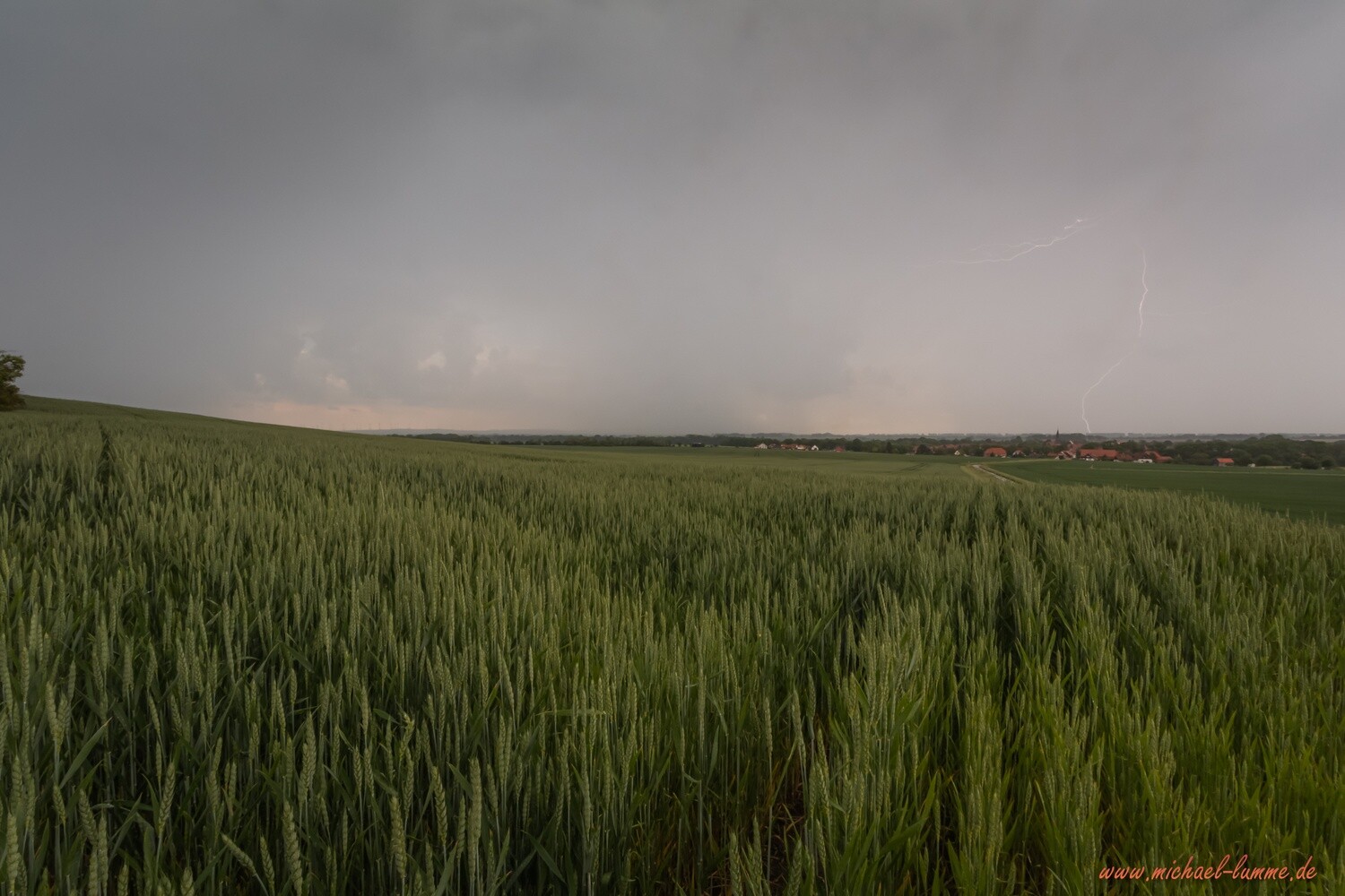 Auf dem Saßberg bei Veckenstedt