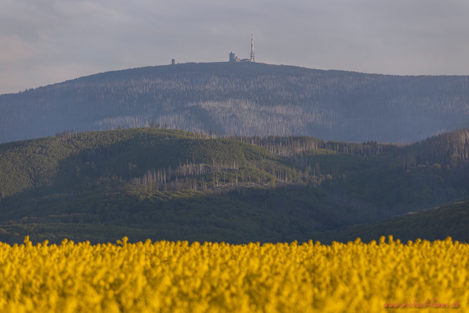 In und um Stapelburg