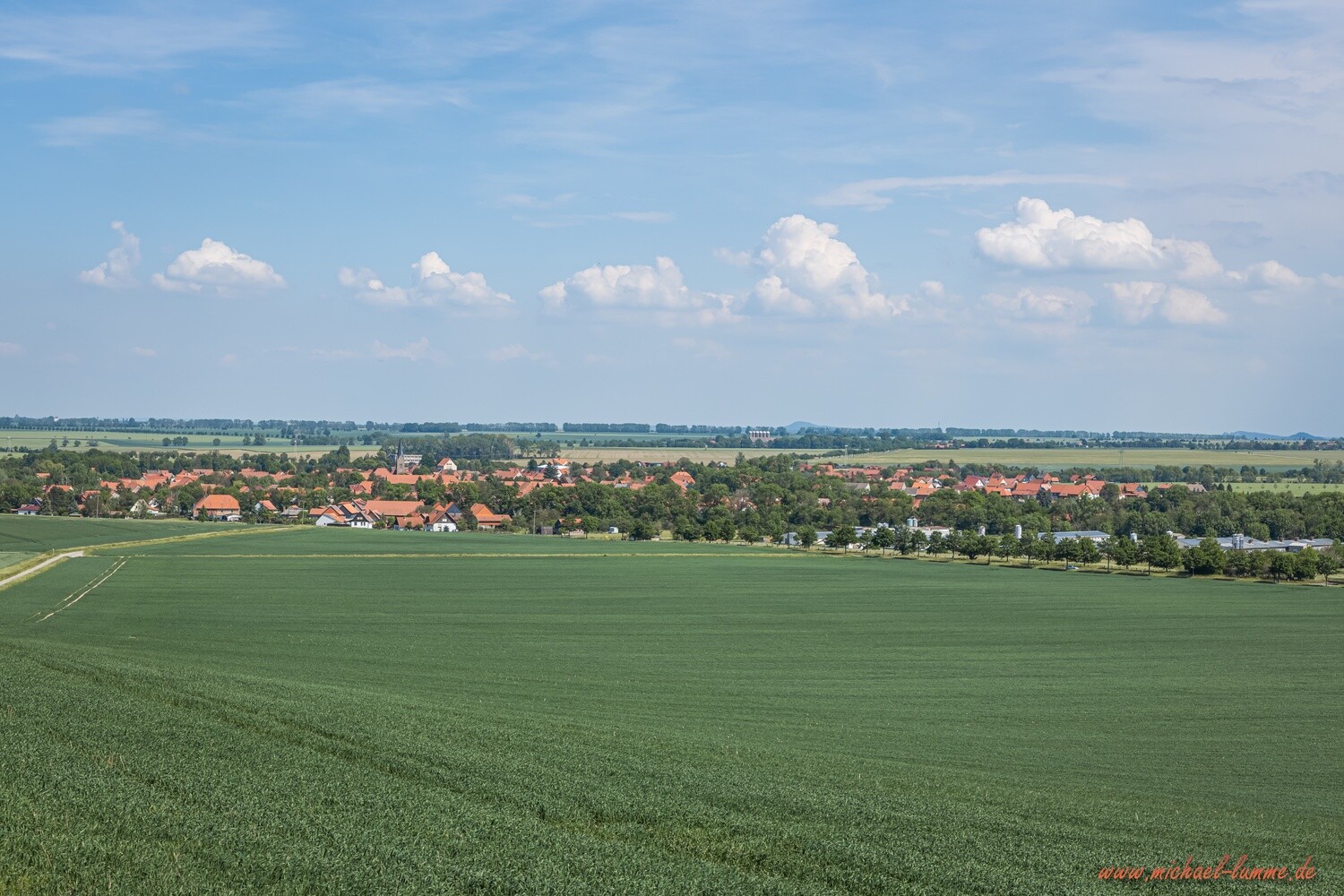 Auf dem Saßberg bei Veckenstedt