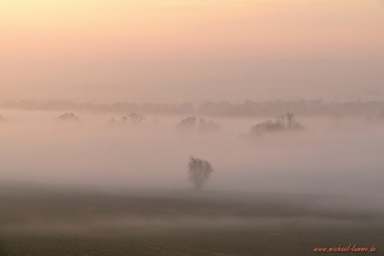 An der Heringsmark zwischen Stapelburg und Veckenstedt