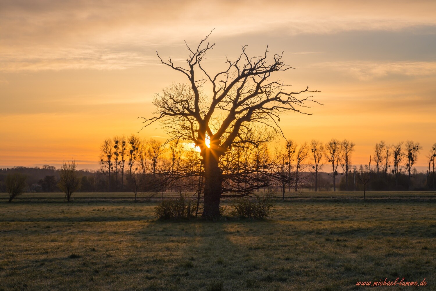 In und um Stapelburg