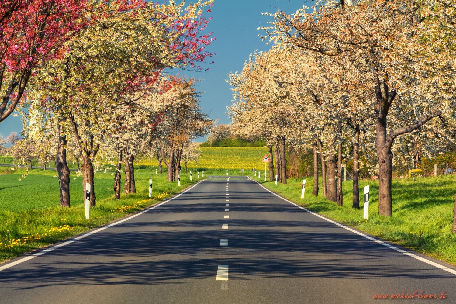 Bei Badersleben