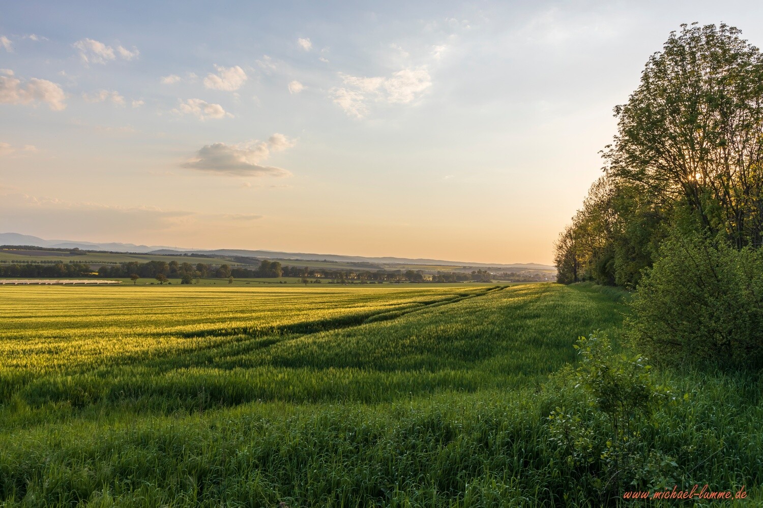 Am kleinen Fallstein