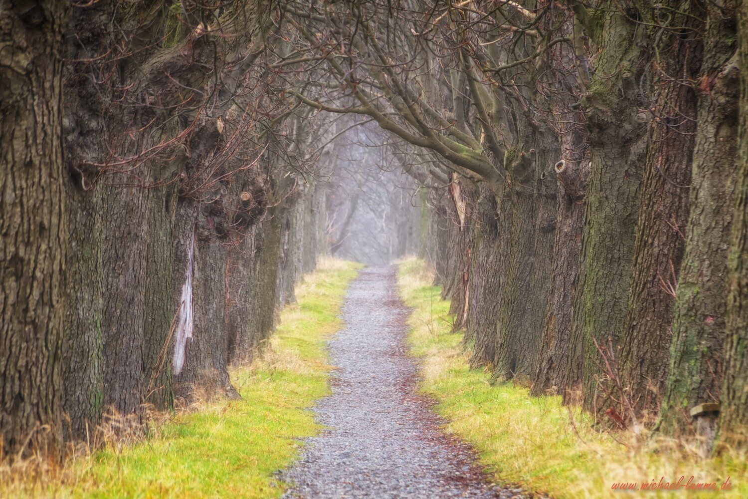 Die Kastanienallee von Osterwieck