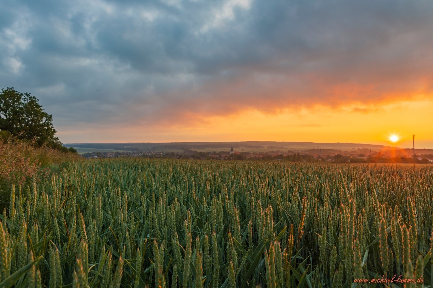 Die Kreuzeiche bei Osterwieck