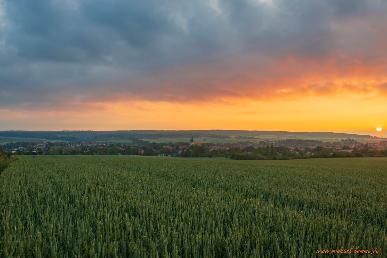 Die Kreuzeiche bei Osterwieck