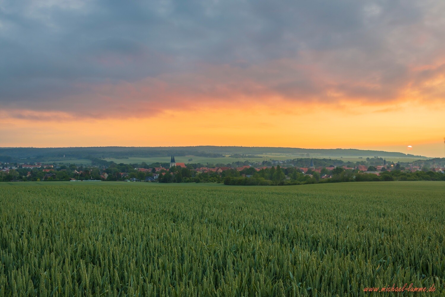 Die Kreuzeiche bei Osterwieck