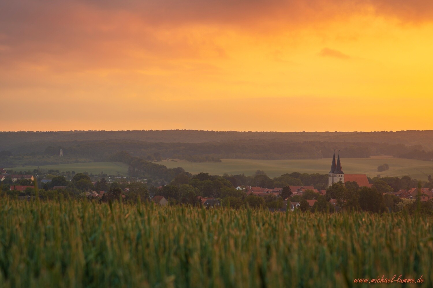 Die Kreuzeiche bei Osterwieck
