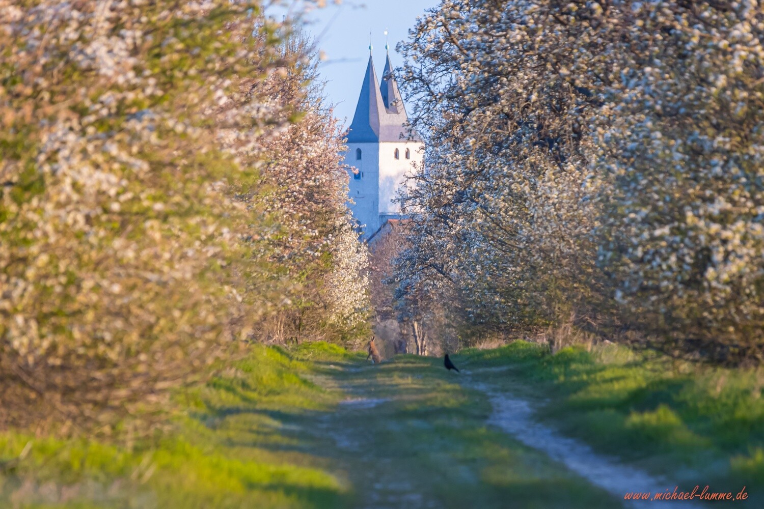 Das Kloster Stötterlingenburg in Lüttgenrode