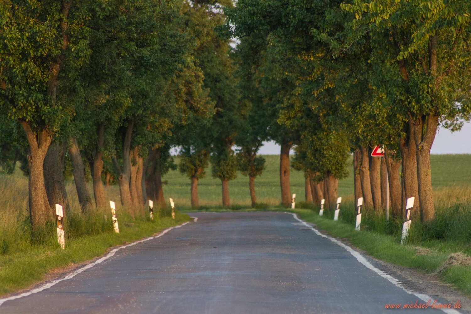 Bei Suderode