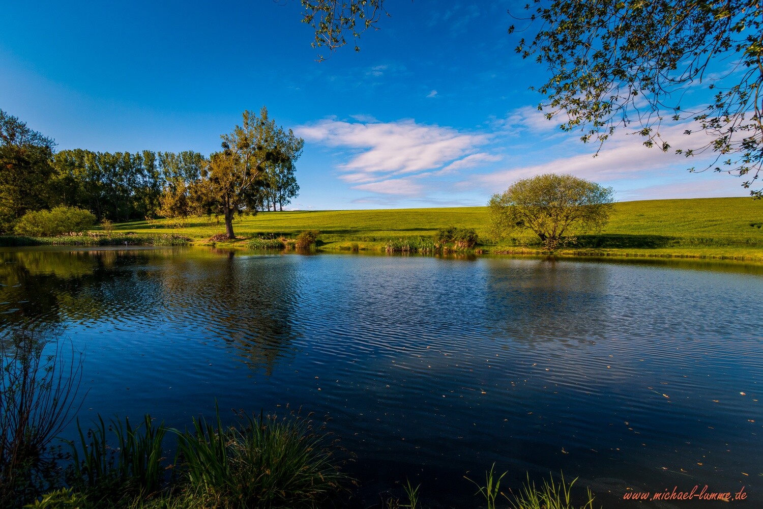 Die Talwiese bei Lüttgenrode