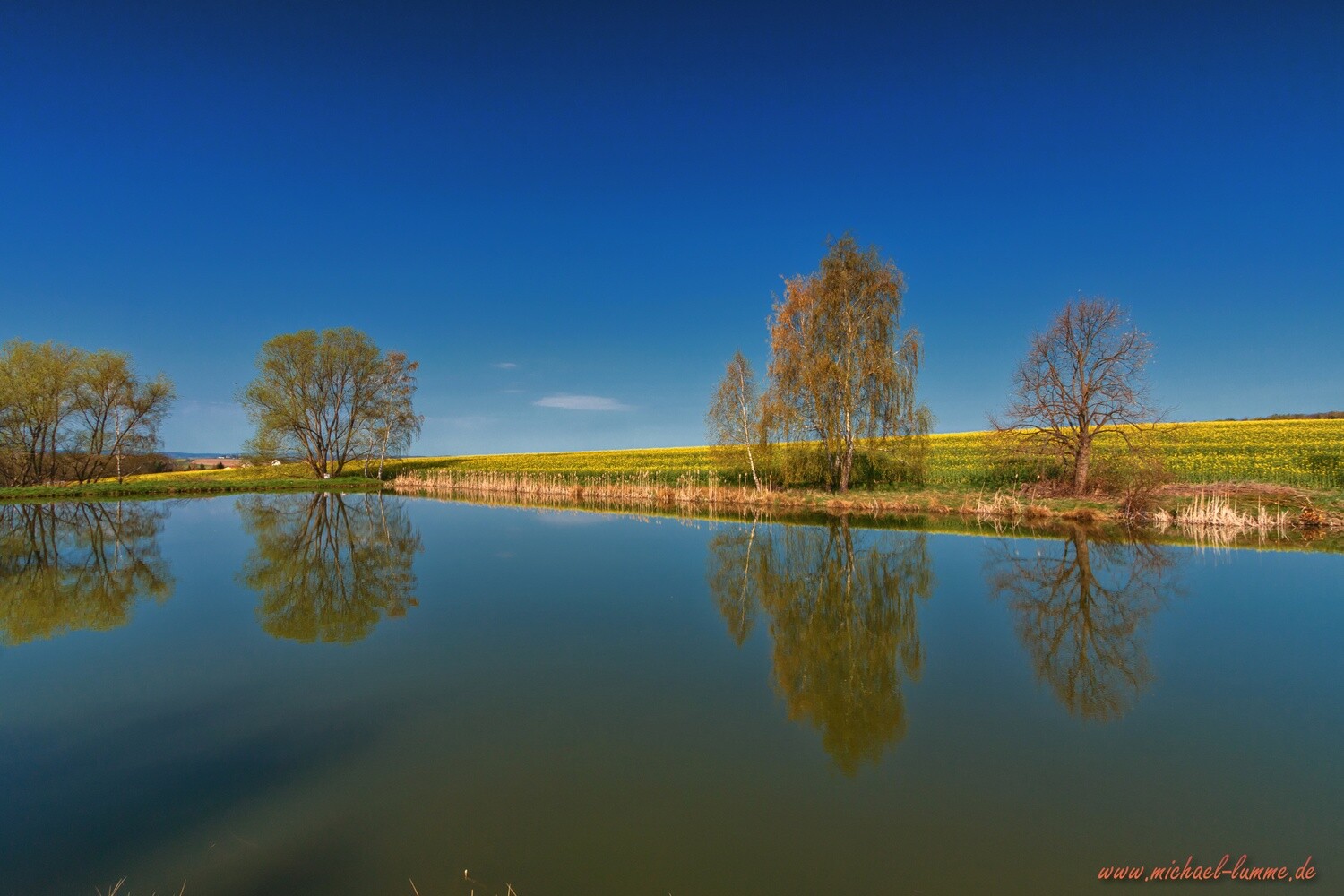 Die Talwiese bei Lüttgenrode