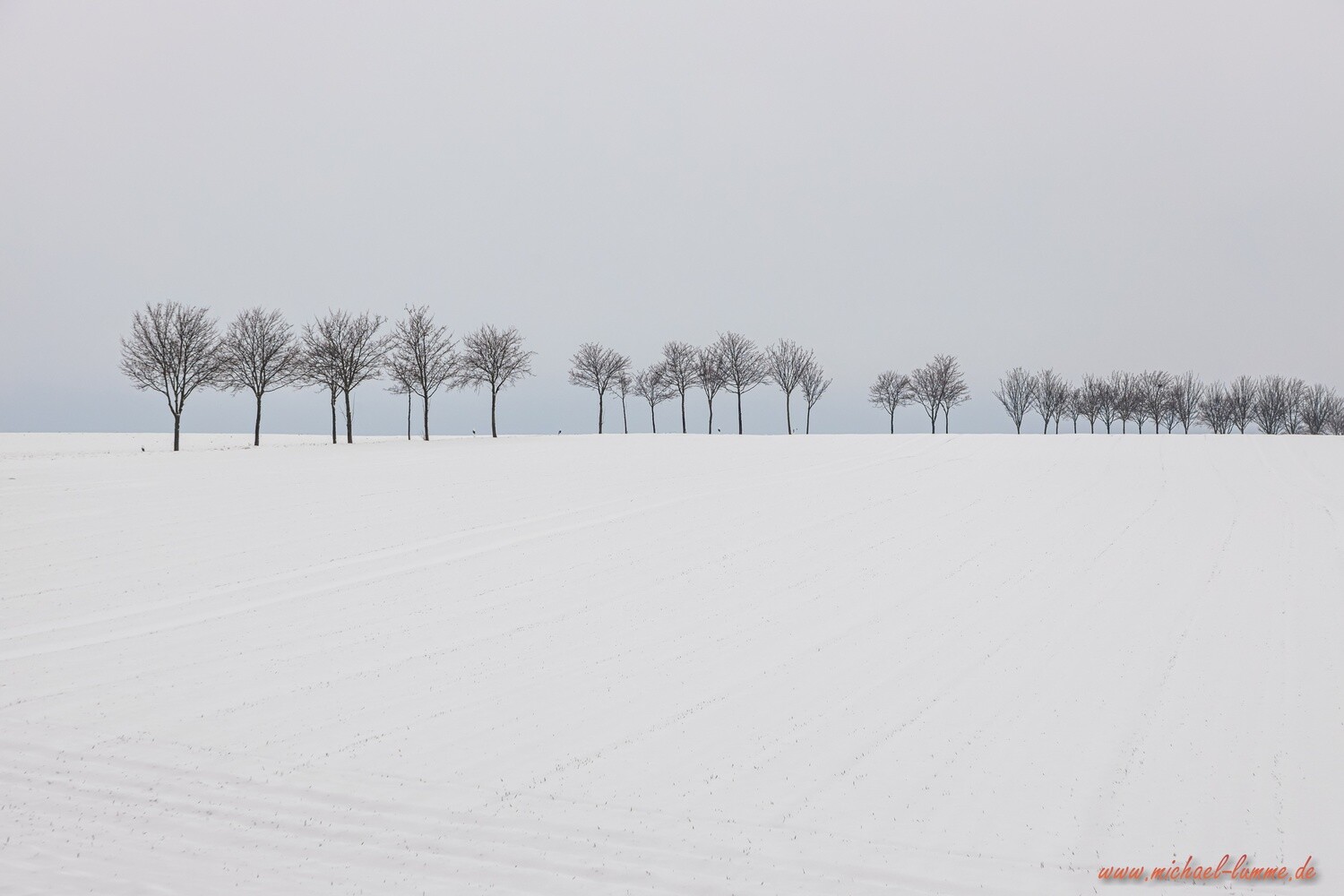 Die Talwiese bei Lüttgenrode