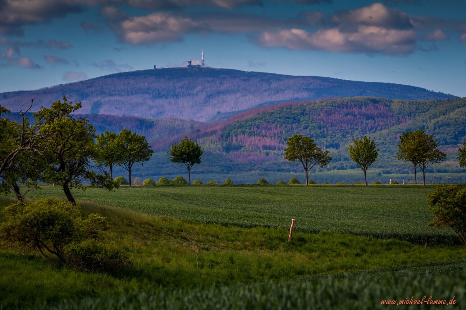 Die Talwiese bei Lüttgenrode