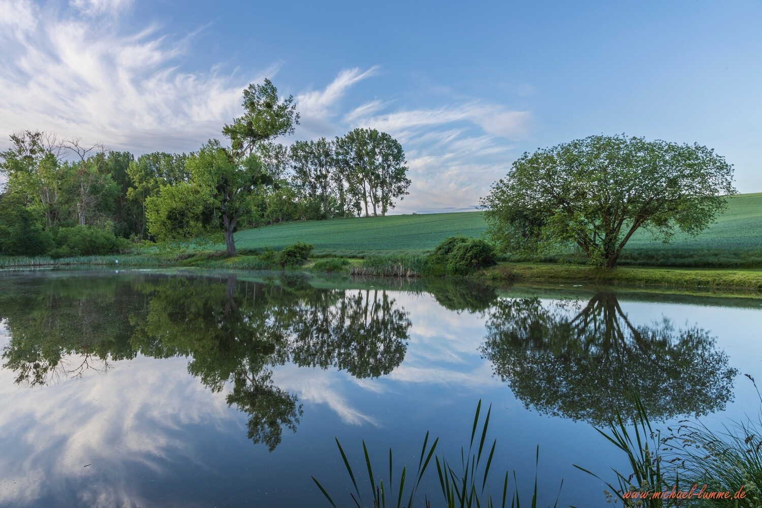Die Talwiese bei Lüttgenrode