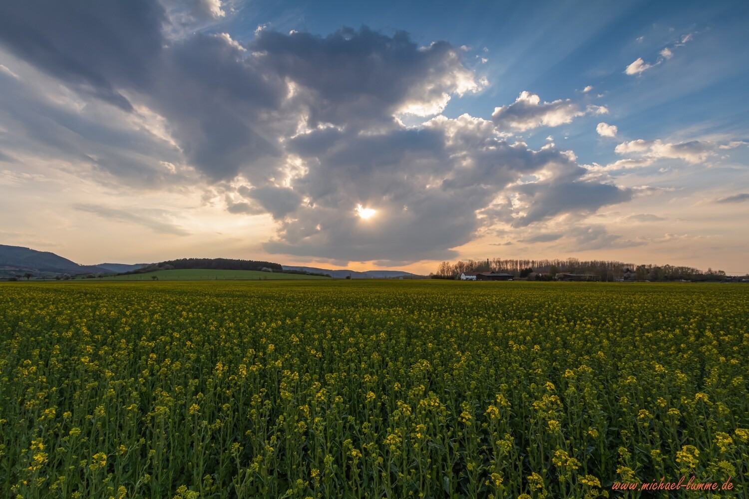 Am Nonnenbach Biotop bei Drübeck