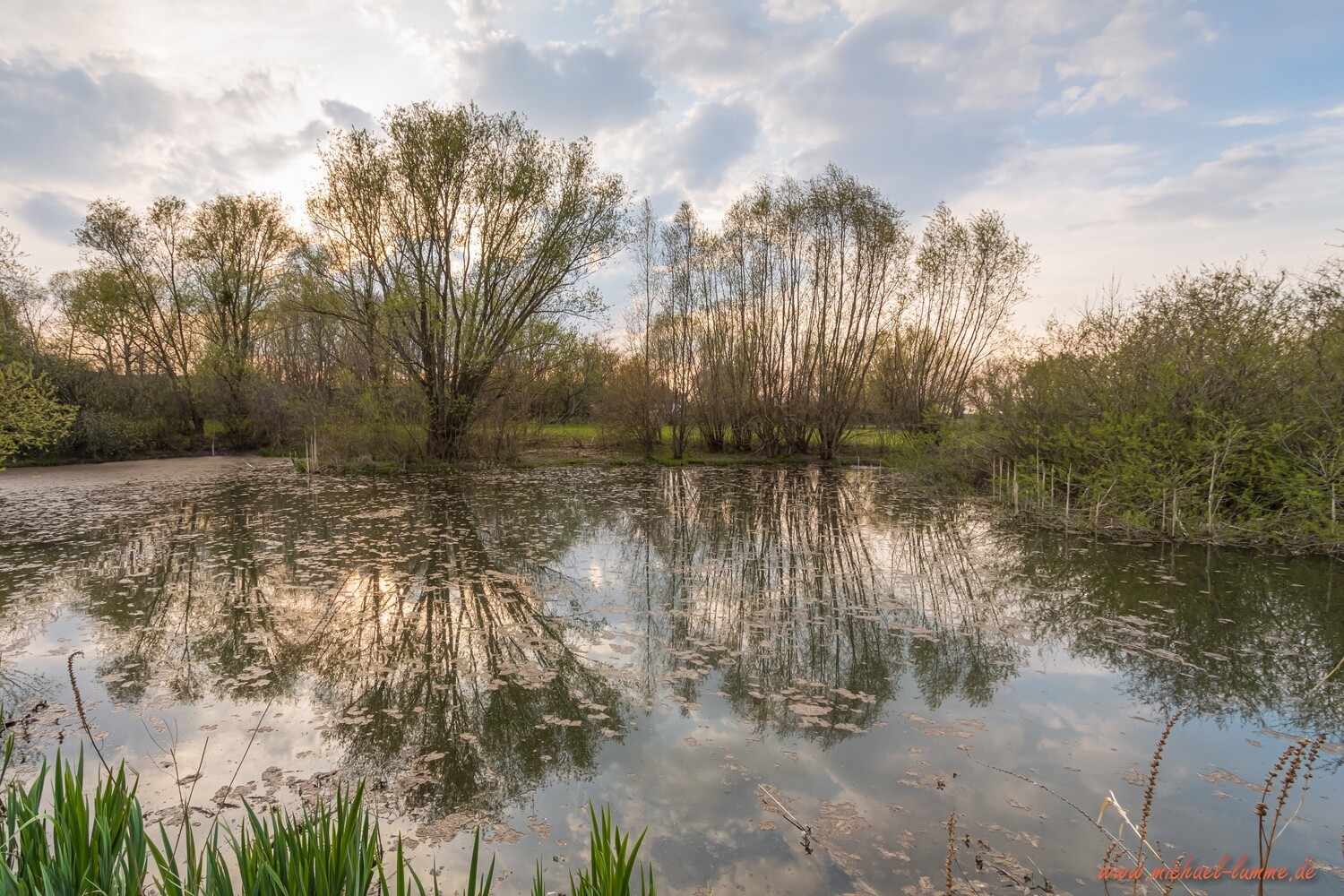 Am Nonnenbach Biotop bei Drübeck