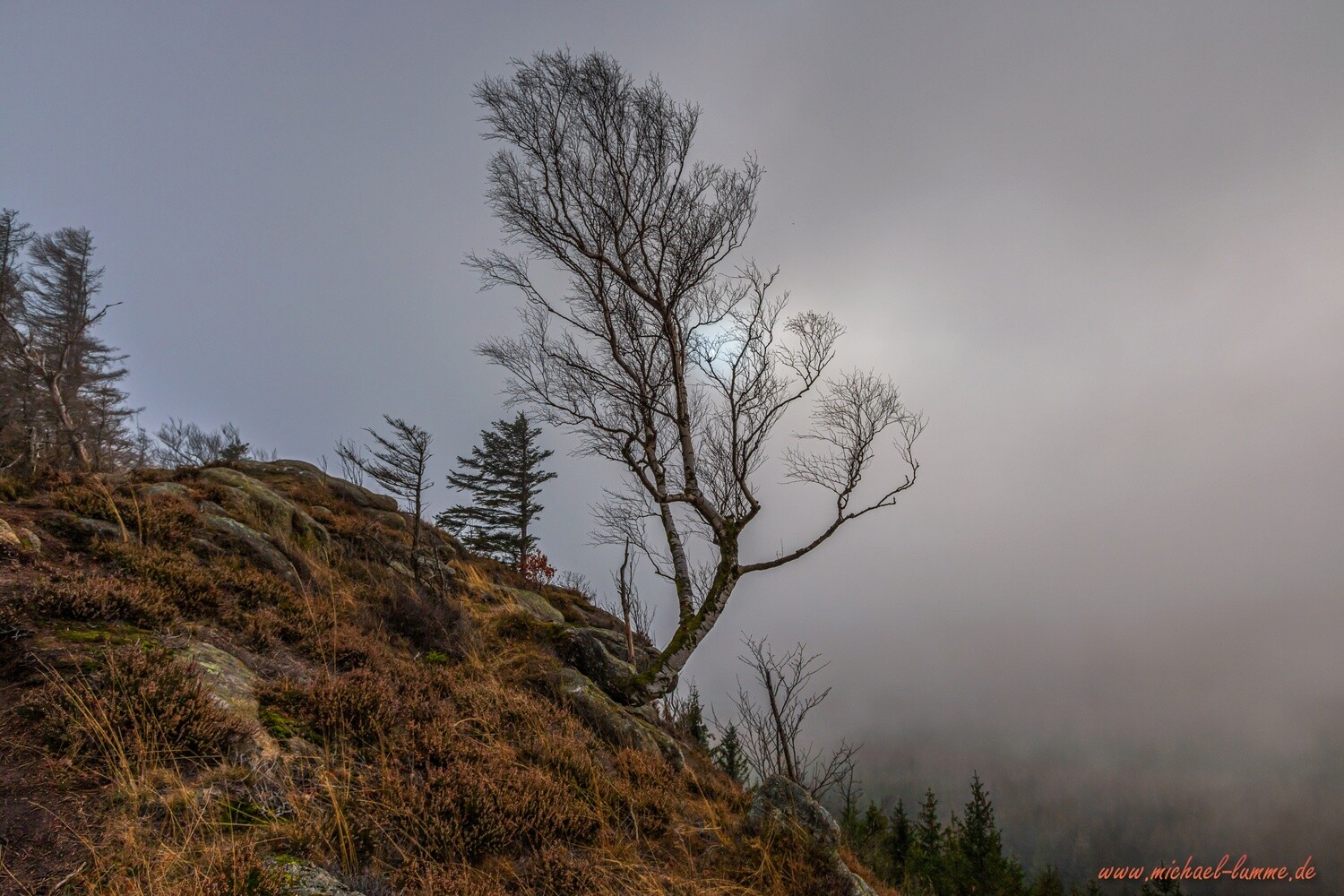 Auf dem Scharfenstein bei Ilsenburg