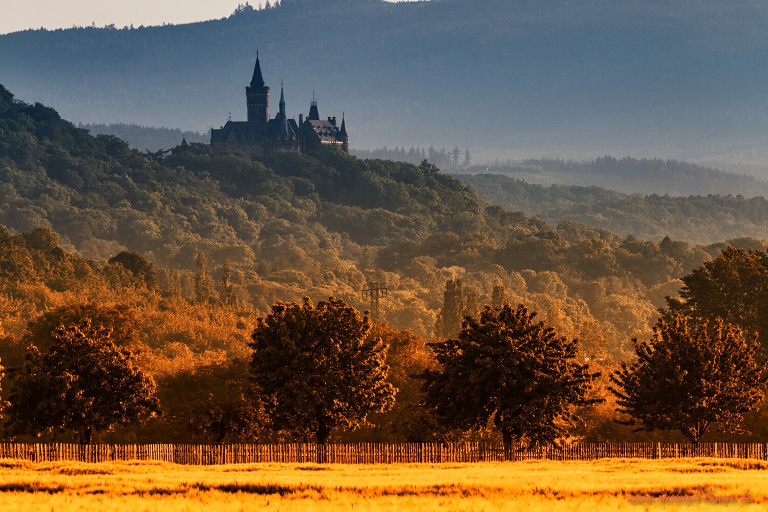Schloßblick von Silstedt