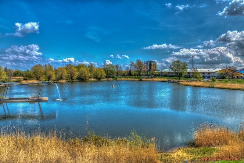 Im Bürgerpark