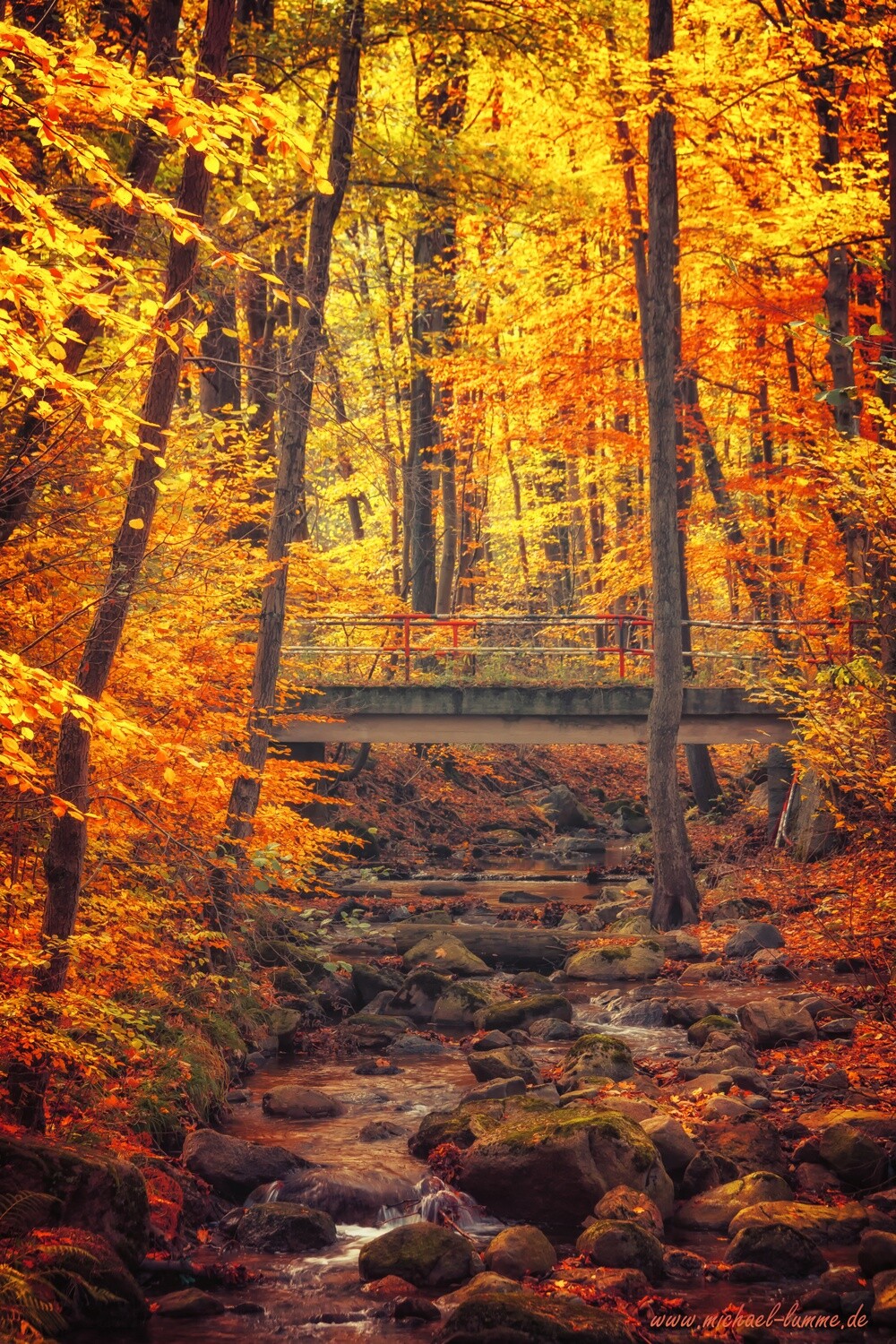 An der Holtemme