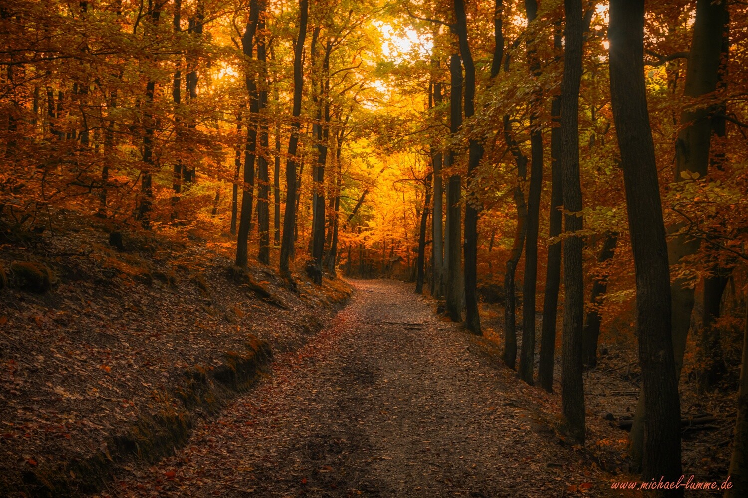 Auf dem Märchenweg