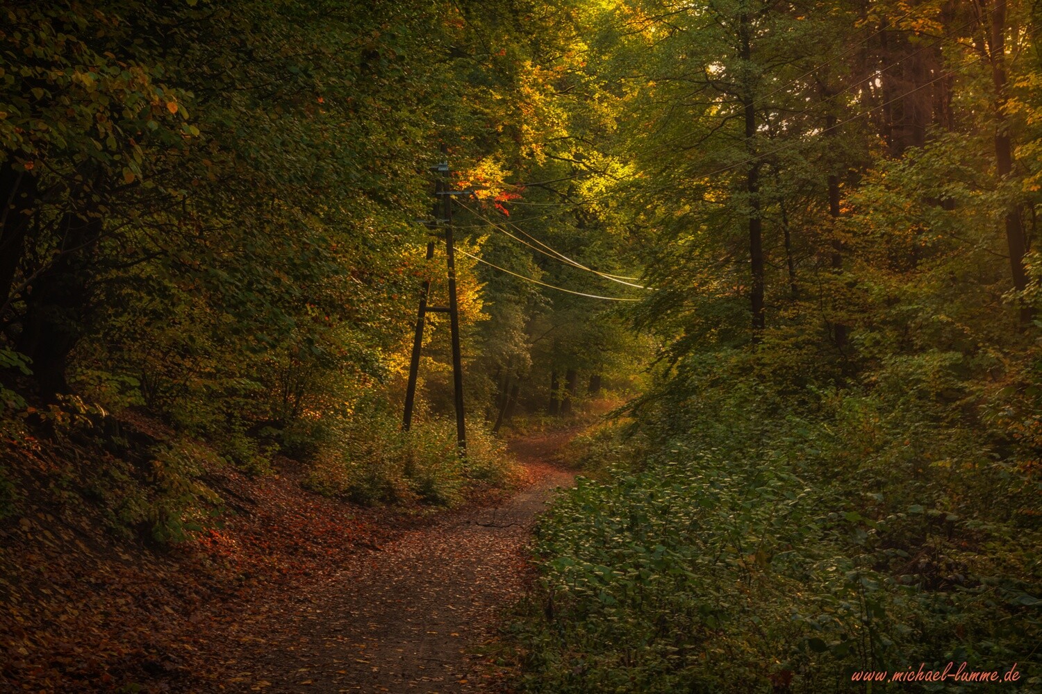 Auf dem Märchenweg
