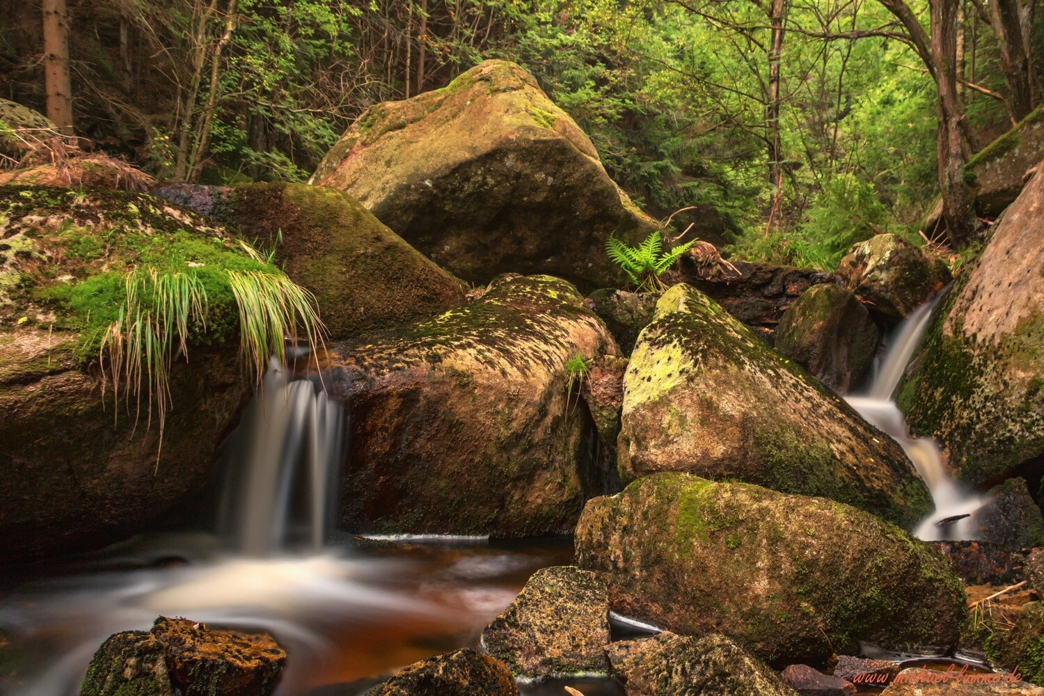 An der Steinerne Renne