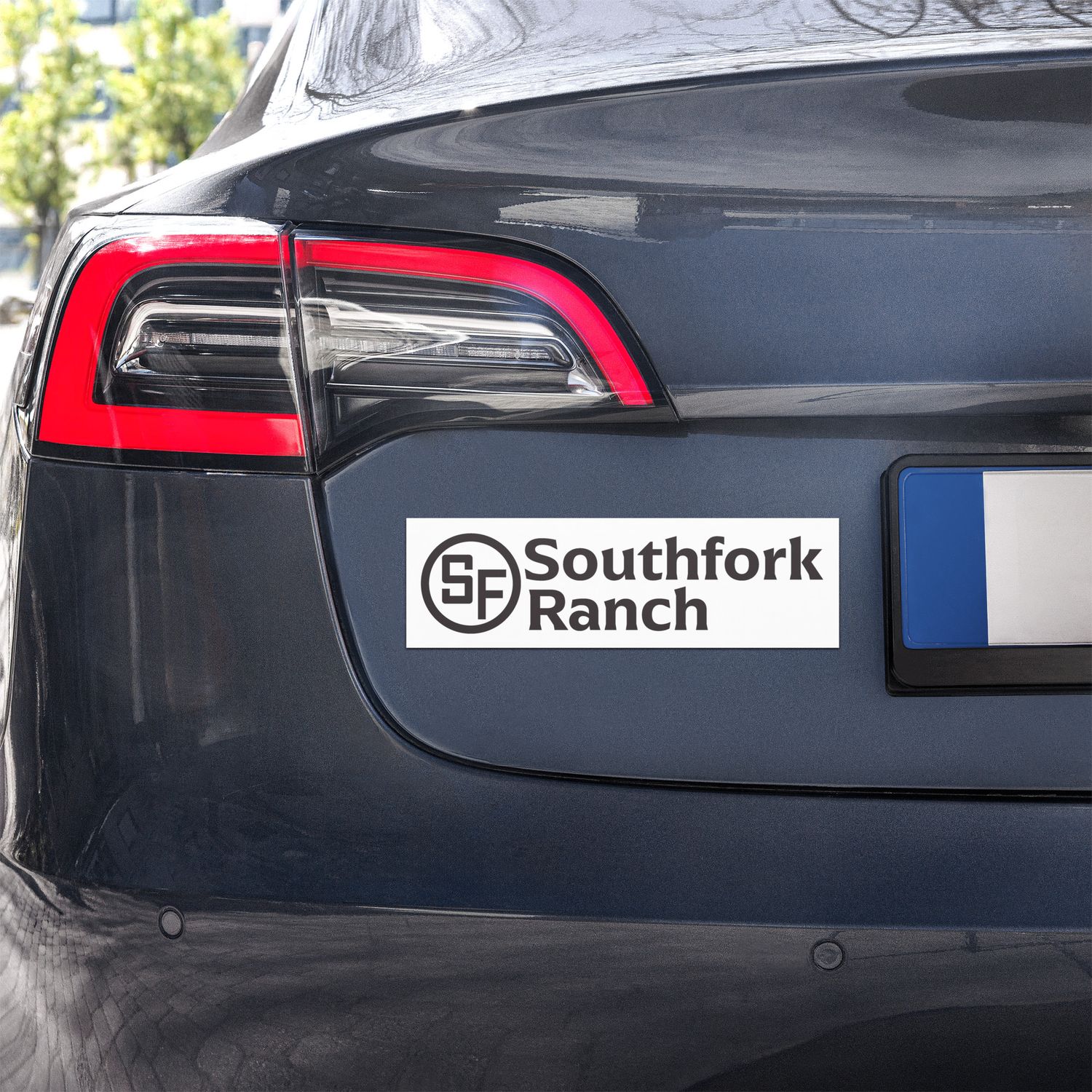 SFR Bumper Magnet