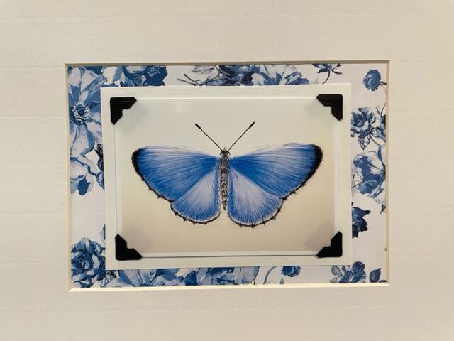 Butterfly Print