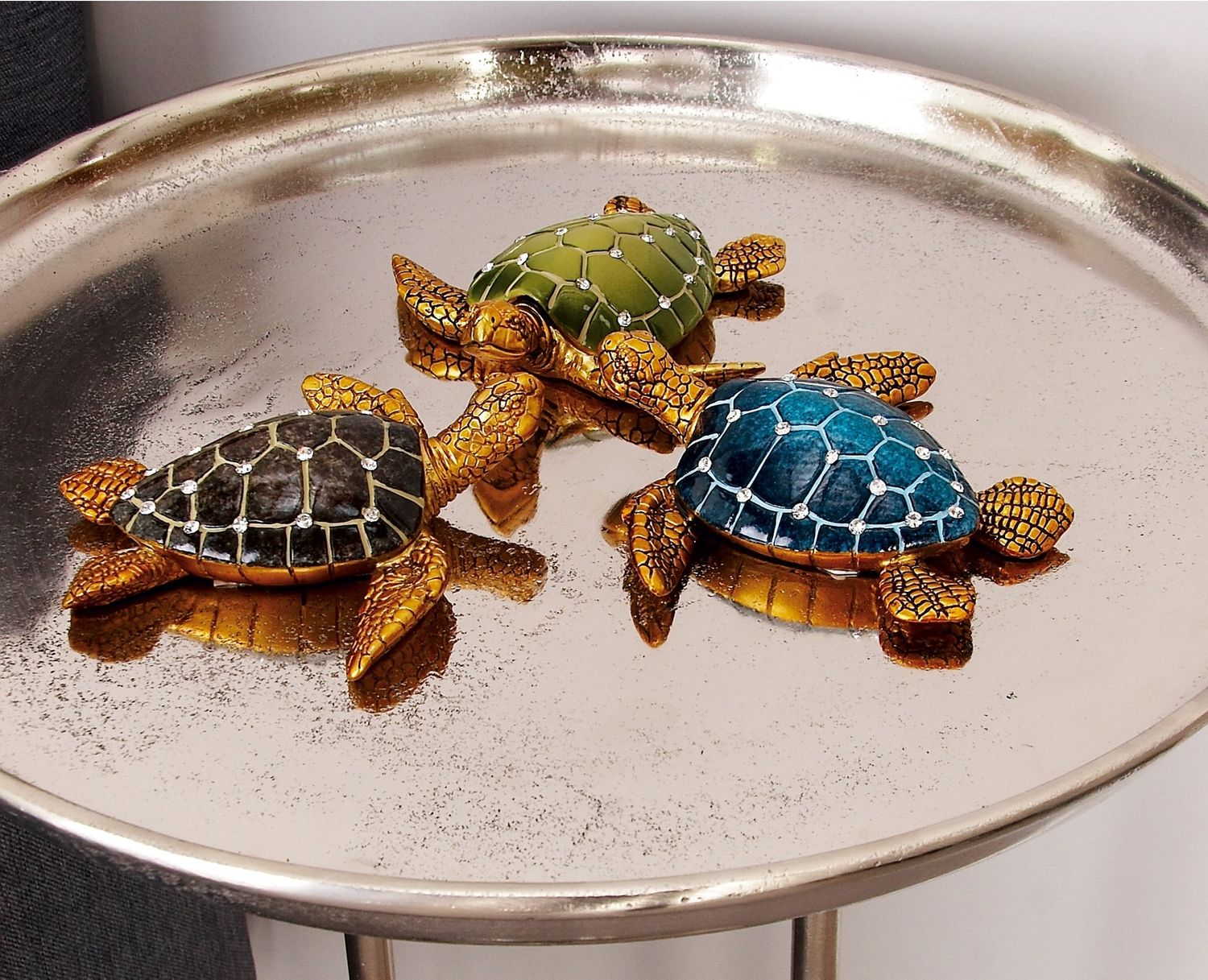 Coastal Turtles