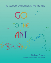 Go to the Ant