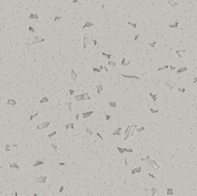 Everform Sample - Ashen Concrete