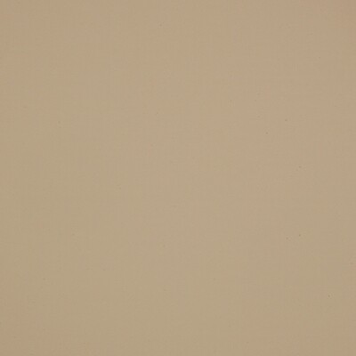 Fenix Sample - Beige Luxor