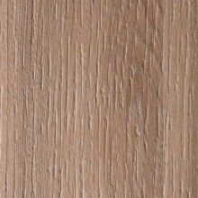 Arpa Sample - Olmo Mercurio