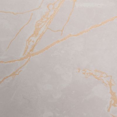 Formica Sample - Gold Veined Taupe Marble*